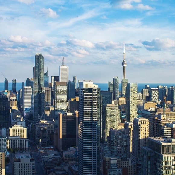 木の葉隠れ517/416 - Picture 2 of 2